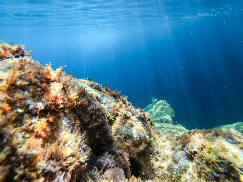 Costa Brava: Sea Caves Kayaking and Snorkeling Tour - What to Bring and What to Avoid for a Smooth Tour