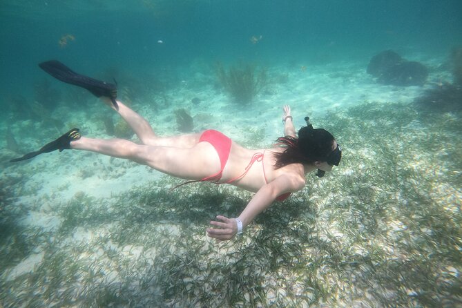 Costa Maya, snorkeling on the reef with fish, looking for turtles - Getting to La Diosa del Mar in Mahahual (and starting on time)