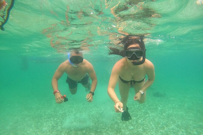 Costa Maya, snorkeling on the reef with fish, looking for turtles - The animal-spotting game plan: turtles, rays, and fish