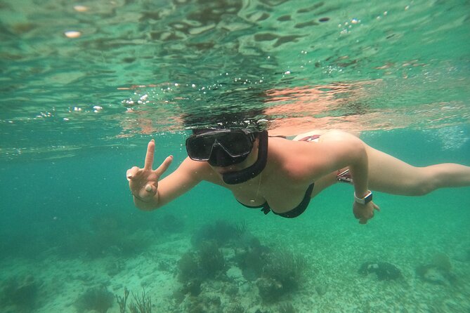 Costa Maya, snorkeling on the reef with fish, looking for turtles - Price and value: why $30 feels fair for what you get