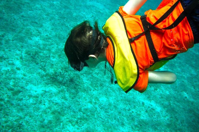 Cozumel Buggy Tour: Snorkeling , Otoch Mayan Experience & Lunch - Playa Pública San Martín and lunch that doesn’t feel like filler