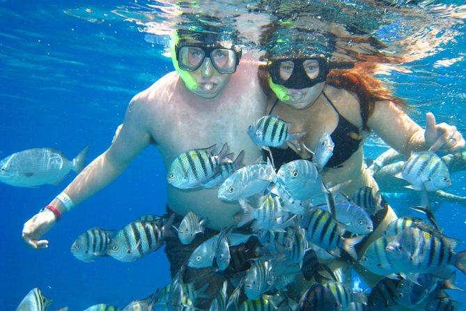 Cozumel Coral Reef Snorkeling by Glass Bottom Boat with Guide - Boat Comfort, Group Size, and the Reality of Getting In and Out