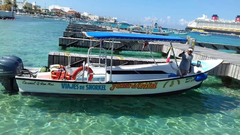 Cozumel: El Cielo & Palancar Snorkel with Open Bar & Ceviche - Key highlights you’ll actually care about