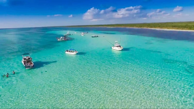 Cozumel: El Cielo & Palancar Snorkel with Open Bar & Ceviche - Cozumel in 4.5 hours: Palancar Reef plus El Cielo