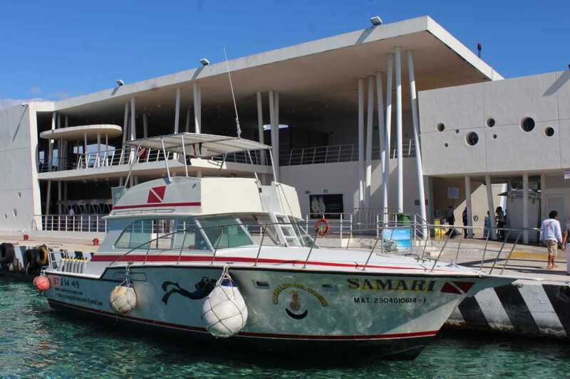 Cozumel: El Cielo & Palancar Snorkel with Open Bar & Ceviche - Palancar Reef snorkel: coral scenery and marine-life odds
