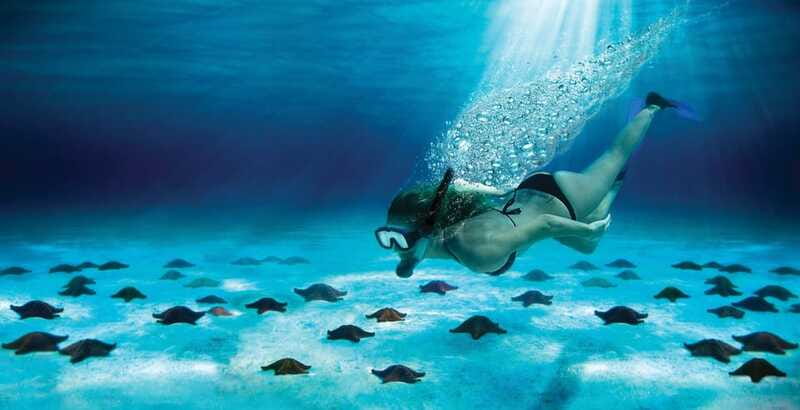 Cozumel: El Cielo & Palancar Snorkel with Open Bar & Ceviche - El Cielito beach break: open bar, ceviche, fruit, and photo chances