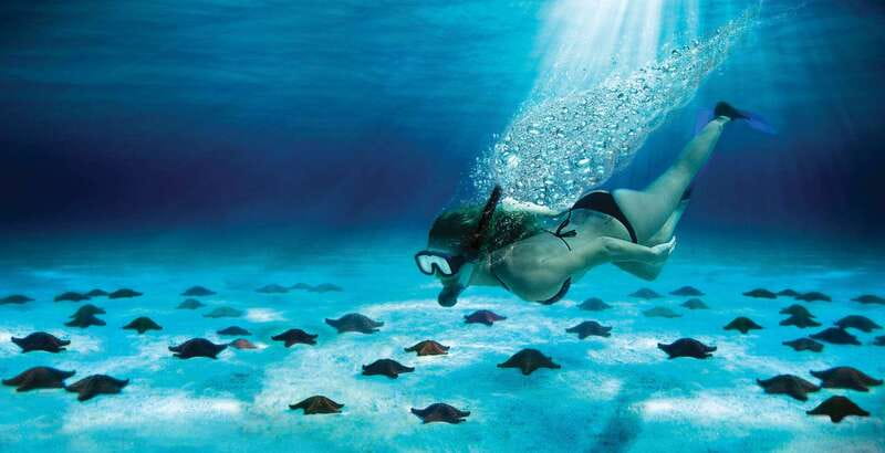 Cozumel: El Cielo & Palancar Snorkel with Open Bar & Ceviche - Boarding at Caballito del Caribe: getting on the right boat