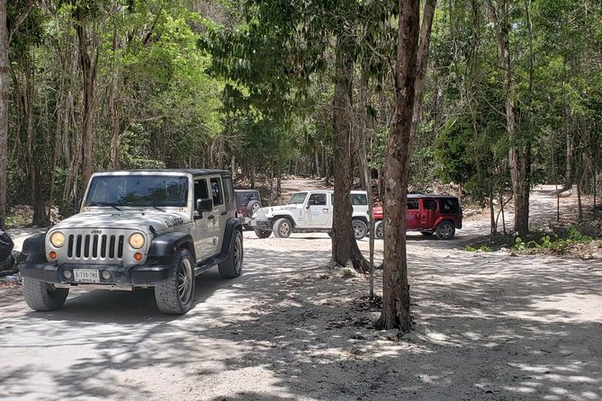 Cozumel Jeep Adventure to Jade Caverns with Lunch and Snorkel - Getting picked up and the Jeep factor