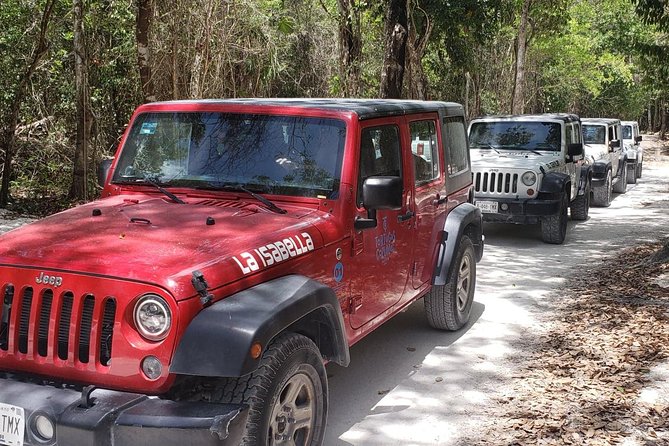 Cozumel Jeep Adventure to Jade Caverns with Lunch and Snorkel - Tortugas Beach Club: included lunch and snorkeling you can actually enjoy