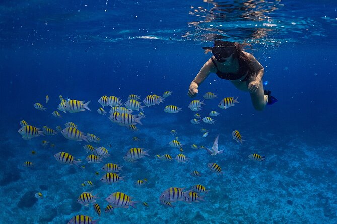 Cozumel Luxury Sailing & Snorkeling with Lunch and Open Bar Onboard - The morning grind: pickup times, ferry ride, and why you should budget extra