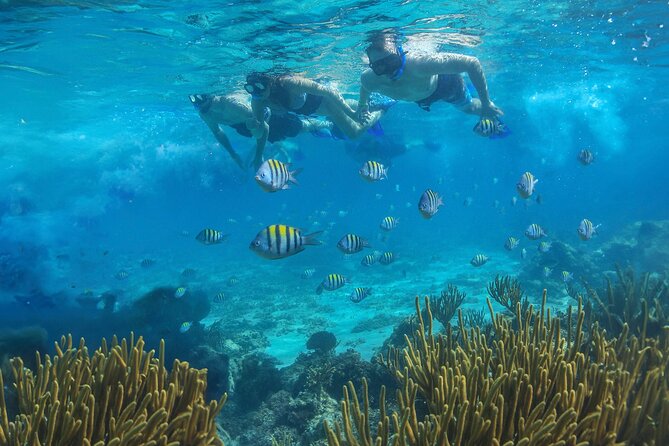 Cozumel Luxury Sailing & Snorkeling with Lunch and Open Bar Onboard - The return: what to expect when everyone funnels back to vans