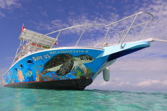 Cozumel Snorkeling Tour at Palancar & Colombia Reefs and El Cielo - Meet at Marina Cozumel and plan for a non-hotel start