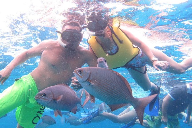 Cozumel Snorkeling Tour at Palancar & Colombia Reefs and El Cielo - The boat ride: cushioned comfort, glass-bottom views, and safety first
