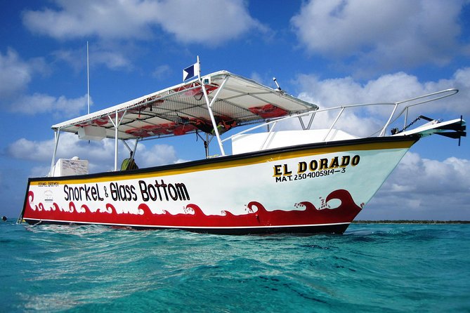 Cozumel Snorkeling Tour at Palancar & Colombia Reefs and El Cielo - Colombia Reef: clear water and the big-animal chance