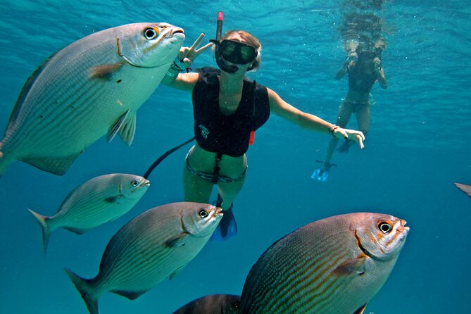 Cozumel Snorkeling Tour: Palancar, Columbia and El Cielo Reefs - Key things to know before you go