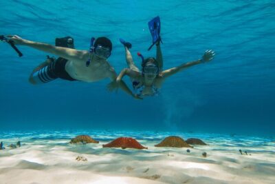 Cozumel Snorkeling Tour: Palancar, Columbia and El Cielo Reefs - Where the day starts: Marina Cozumel meeting point and timing