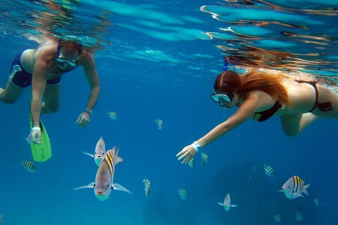 Cozumel Snorkeling Tour: Palancar, Columbia and El Cielo Reefs - Additional stops: how the route builds extra reef time