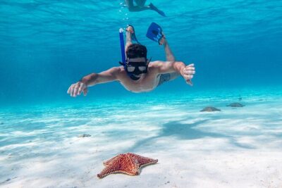 Cozumel Starfish and Tropical Reef Snorkeling by Powerboat with Lunch - 8:30 am start isn’t pickup: the real-day logistics from Cancun or Riviera Maya