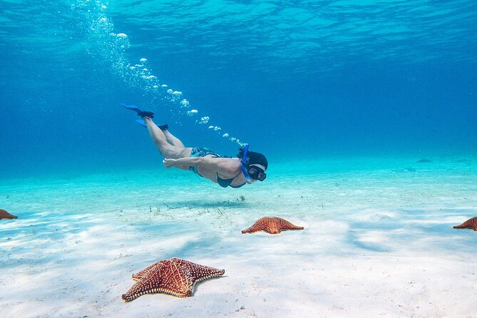 Cozumel Starfish and Tropical Reef Snorkeling by Powerboat with Lunch - Lunch on the boat and the chance to enjoy Cozumel above water