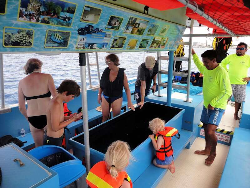 Cozumel: VIP Glass Bottom Boat & Snorkeling 3 Reefs Tour - Price and value: why this one competes with cruise excursions
