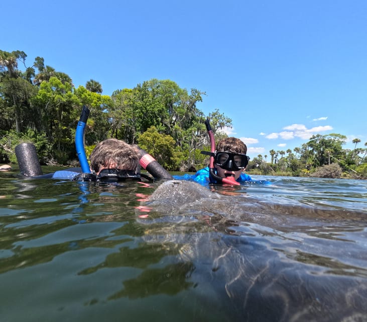 Crystal River: Guided Manatee Snorkeling Tour - A possible extra stop: Three Sisters Spring and clear freshwater time