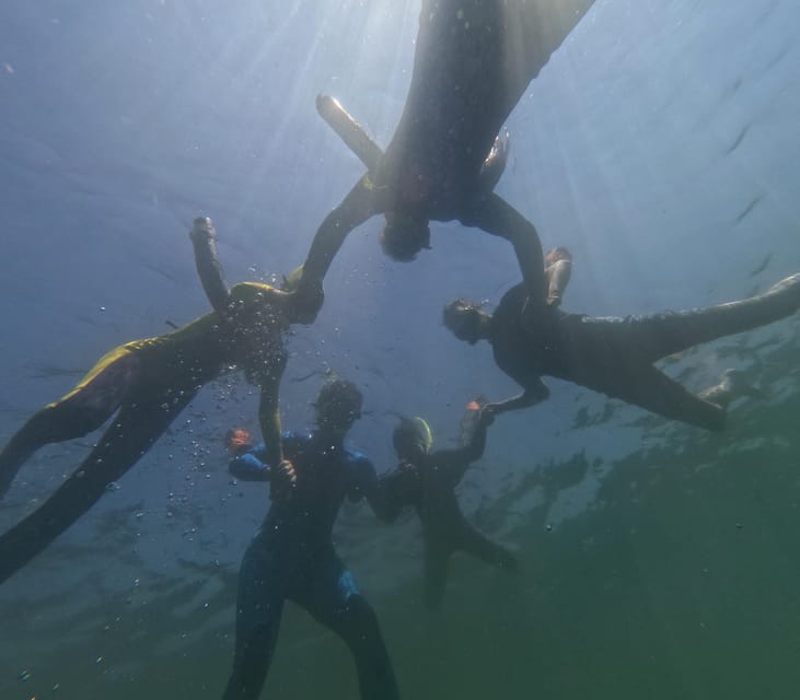 Crystal River: Guided Manatee Snorkeling Tour - Photos after the tour: a keepsake option, not included