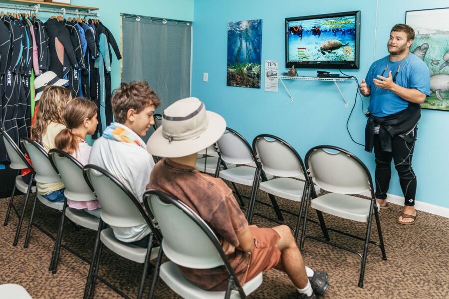 Crystal River: Manatee Snorkel Tour w/ In-Water Photographer - Best time to go: winter odds, summer reality
