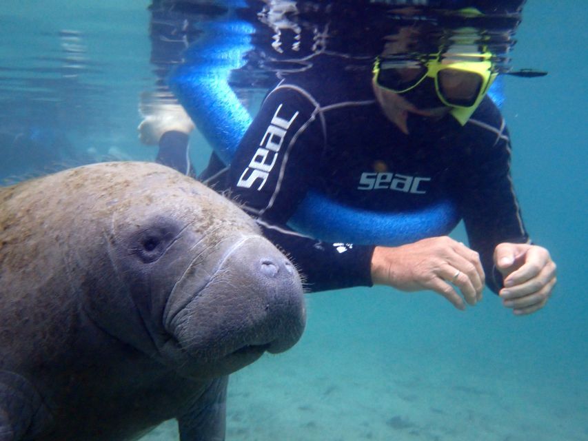 Crystal River: Manatee Snorkel Tour w/ In-Water Photographer - Three Sisters Springs: why this Crystal River snorkel works