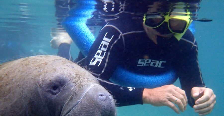 Crystal River: Manatee Snorkel Tour w/ In-Water Photographer - How the 3-hour flow keeps things fun, not rushed