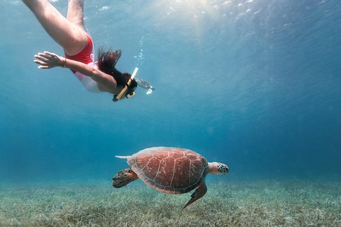 Culebra Snorkel and Turtle Adventure with Transport - Key things to know before you go