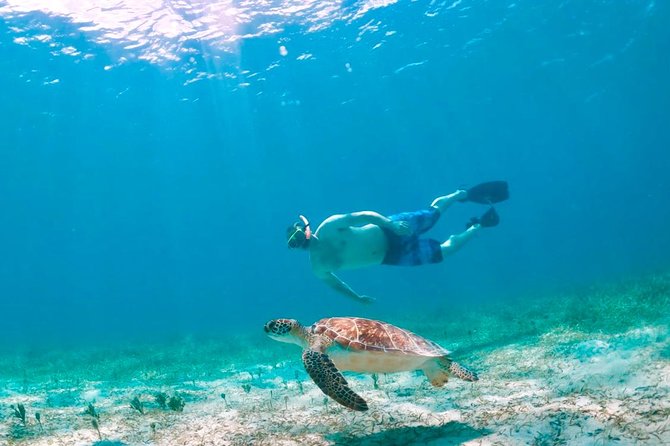Culebra Snorkel and Turtle Adventure with Transport - Ceiba to Culebra: the ferry day that actually runs the show