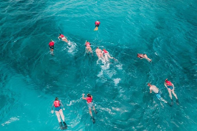 Culebra Snorkel and Turtle Adventure with Transport - Price and value: when $145.84 feels fair