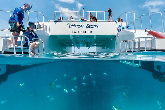 Culebra Snorkeling Tour by Catamaran from Fajardo - Lunch and drinks: the included meal setup