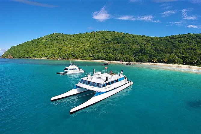 Culebra Snorkeling Tour by Catamaran from Fajardo - What the crew experience feels like (and why it matters)