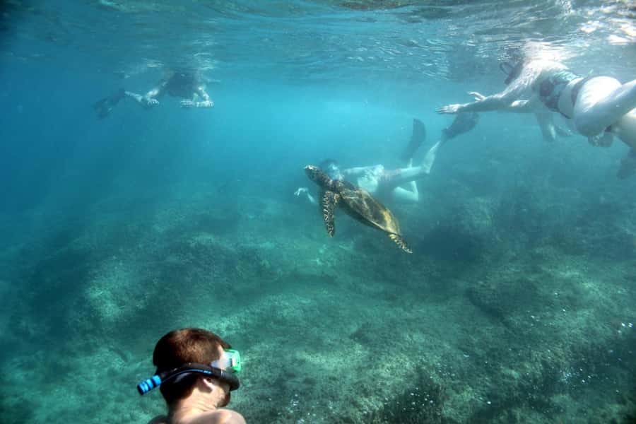 Curieuse Guided Tour, St Pierre, BBQ & 2 Snorkel Stops - A full-day cruise that feels practical, not touristy
