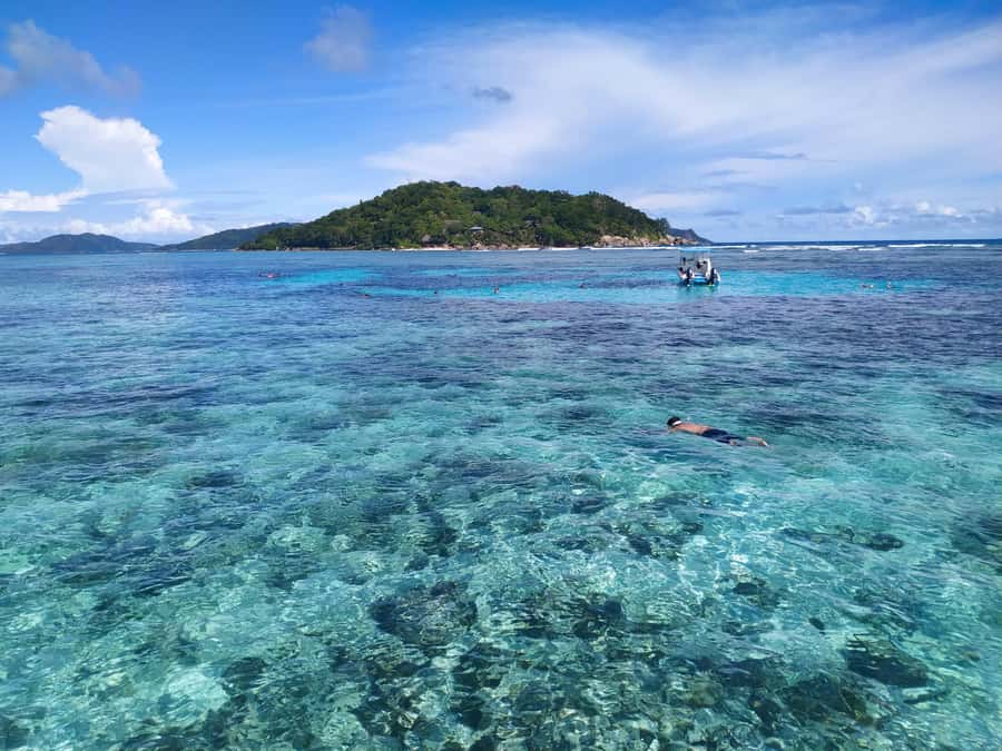 Curieuse Guided Tour, St Pierre, BBQ & 2 Snorkel Stops - Creole BBQ, local beer, and the Takamaka rum cocktail finish
