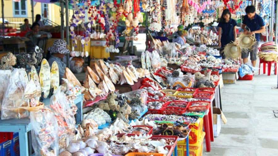 Da Nang/Hoi An:Explore Cham Island and Snorkeling tour 1 Day - A six-hour Cham Islands day trip from Da Nang or Hoi An