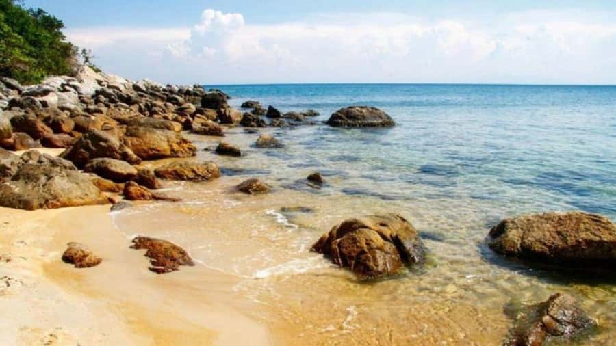 Da Nang/Hoi An:Explore Cham Island and Snorkeling tour 1 Day - Snorkeling at Bãi Xêp or Hòn Tai: coral reefs and what affects visibility