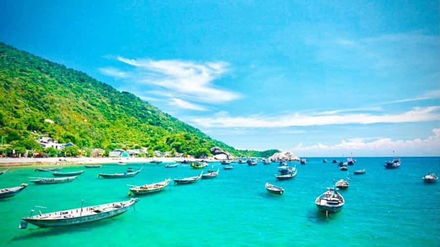 Da Nang/Hoi An:Explore Cham Island and Snorkeling tour 1 Day - Island lunch and beach time: fueling the day
