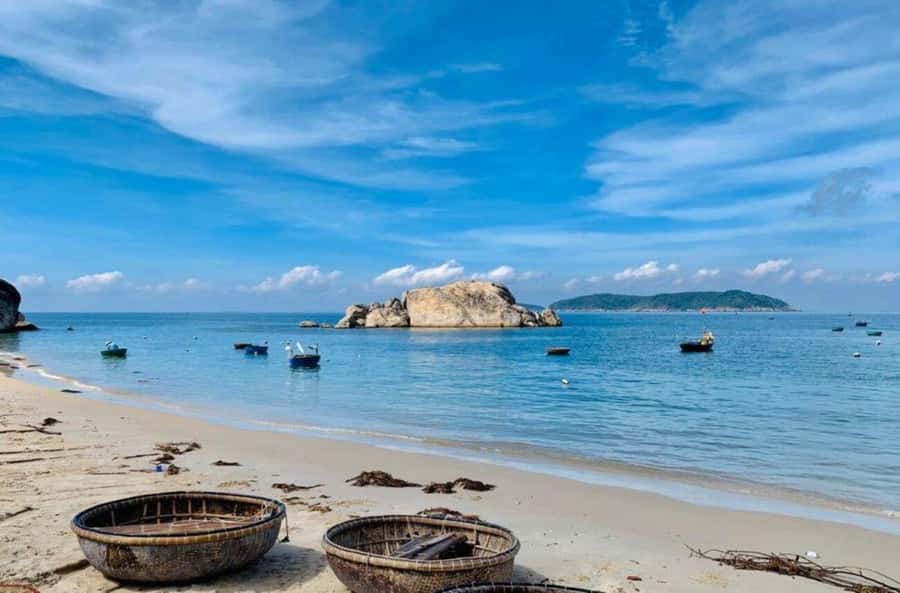 Da Nang/Hoi An:Explore Cham Island and Snorkeling tour 1 Day - Timing and pacing: why the schedule feels busy (and how to cope)