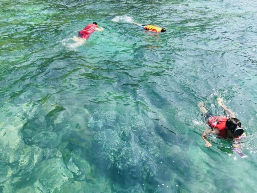 Da Nang/Hoi An:Explore Cham Island and Snorkeling tour 1 Day - What to bring (so you don’t waste the day)