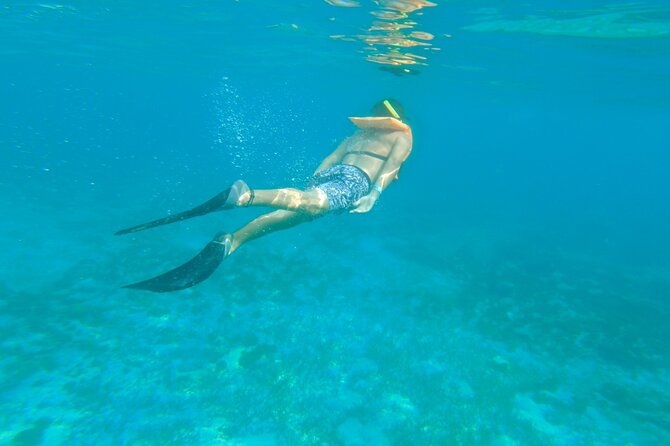 Dancer Cruise Isla Mujeres Snorkel Food and Drinks Included - Crew energy, music, and the “party boat” promise