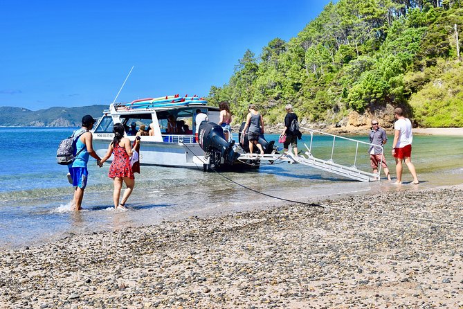 Day Cruise & Island Tour - Snorkel/Wildlife/Paddleboard/Islands - Key things to know before you go