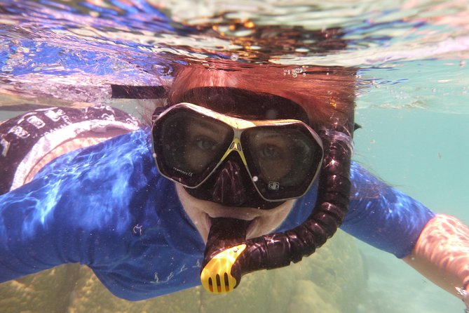 Day Cruise & Island Tour - Snorkel/Wildlife/Paddleboard/Islands - Pier 10, 9:00 am start, and the pace that keeps it fun