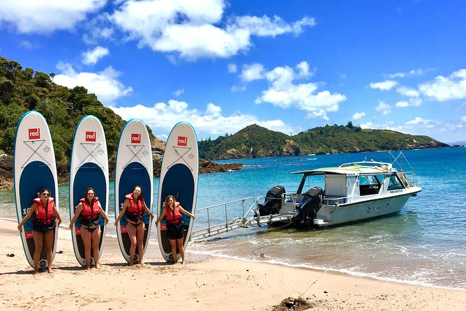Day Cruise & Island Tour - Snorkel/Wildlife/Paddleboard/Islands - Snorkel and stand-up paddleboard: the best use of your 3.5 hours