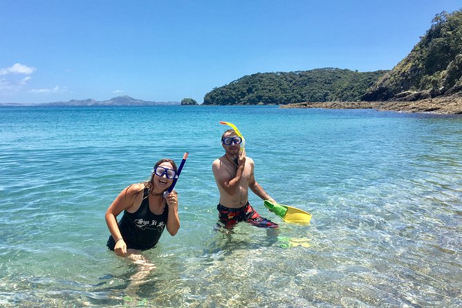 Day Cruise & Island Tour - Snorkel/Wildlife/Paddleboard/Islands - Money and value: what $89.98 buys you
