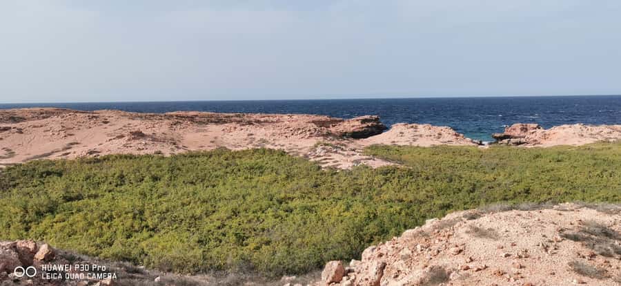 Daymaniyat Island: Snorkelling Tour with Tasty Lunch - Snorkel stop one: turtles, coral, and learning the rhythm