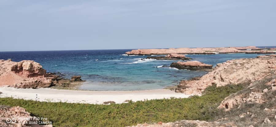 Daymaniyat Island: Snorkelling Tour with Tasty Lunch - Snorkel stop two: deeper water, more variety, and beach time