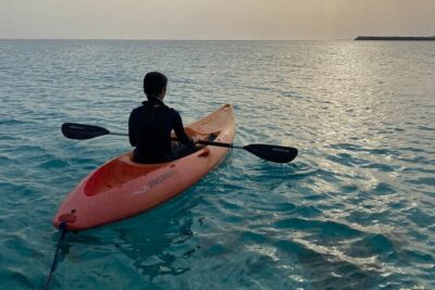 Daymaniyat Islands Snorkeling Sharing Trip - How the Crew Finds Turtles (and Why Following Them Matters)