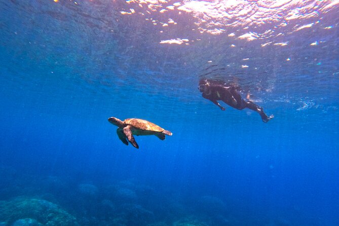 Daymaniyat Islands Snorkeling Sharing Trip - Snacks, Drinks, and the Crew That Actually Helps